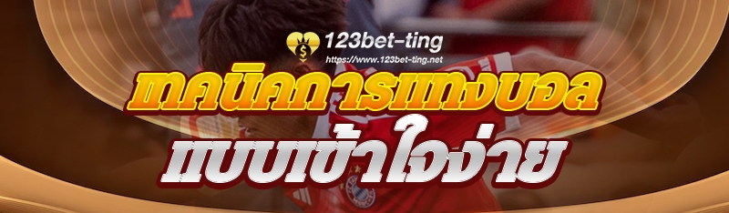 เทคนิคการแทงบอล แบบเข้าใจง่าย