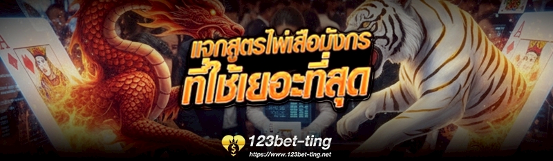 แจกสูตรไพ่เสือมังกร ที่ใช้เยอะที่สุด 